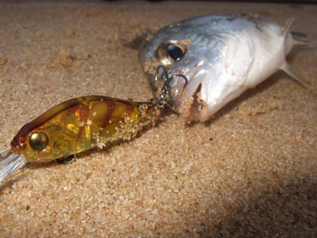 Zipbaits Tiny Khamsin Zipbaits Tiny Khamsin